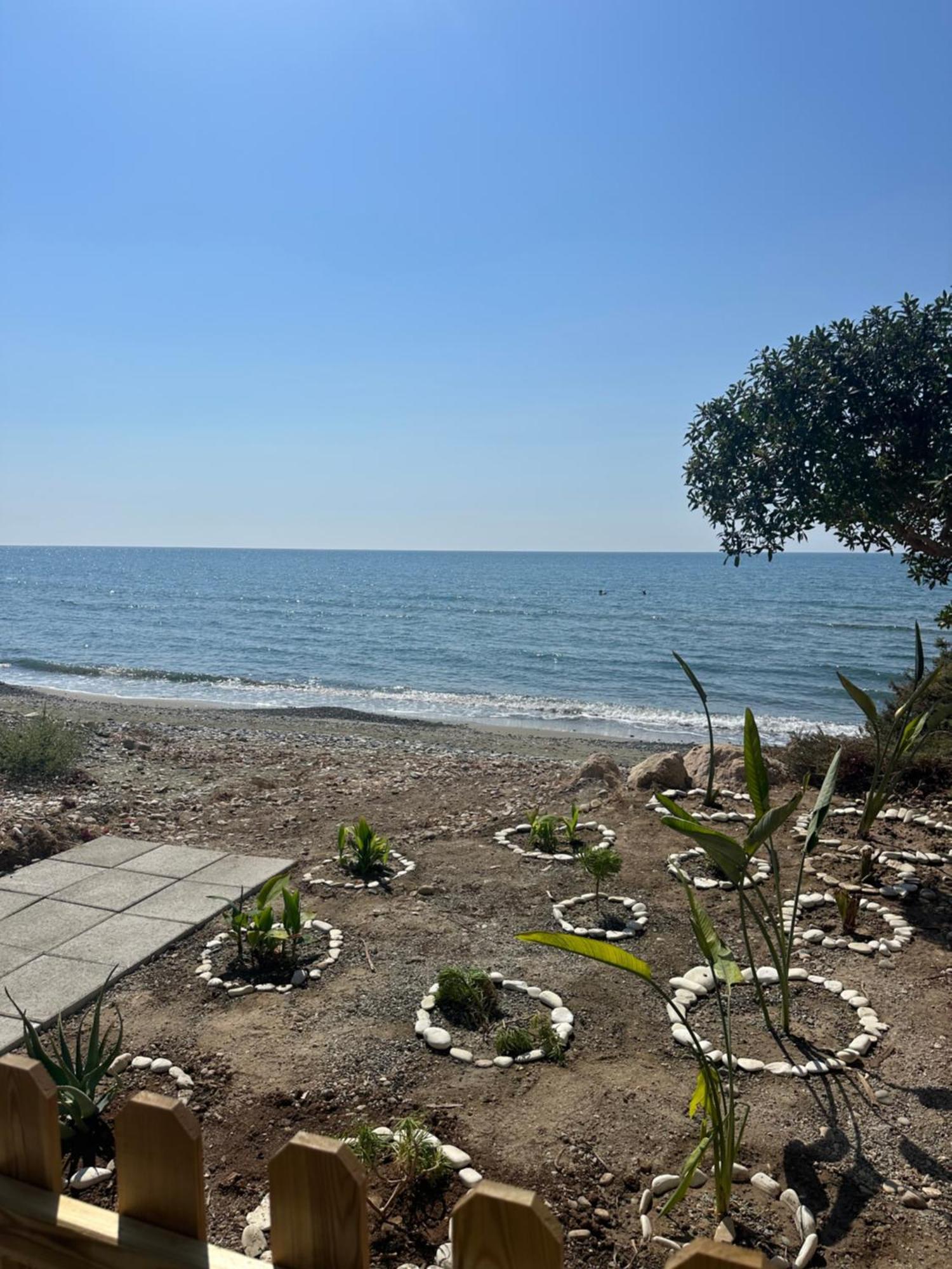 Leonidas Seaside *