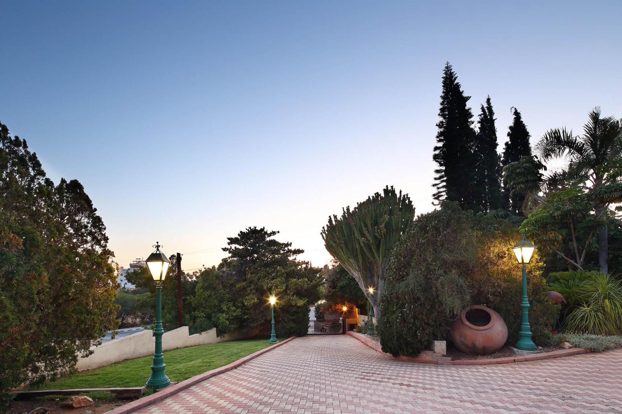 Apartment Olive Tree