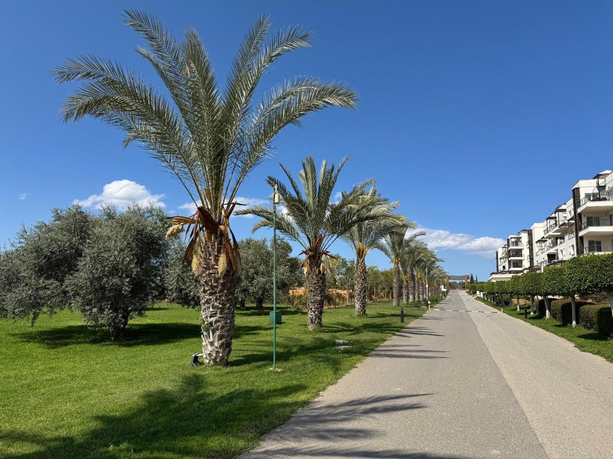 Cozy At Thalassa Paralimni