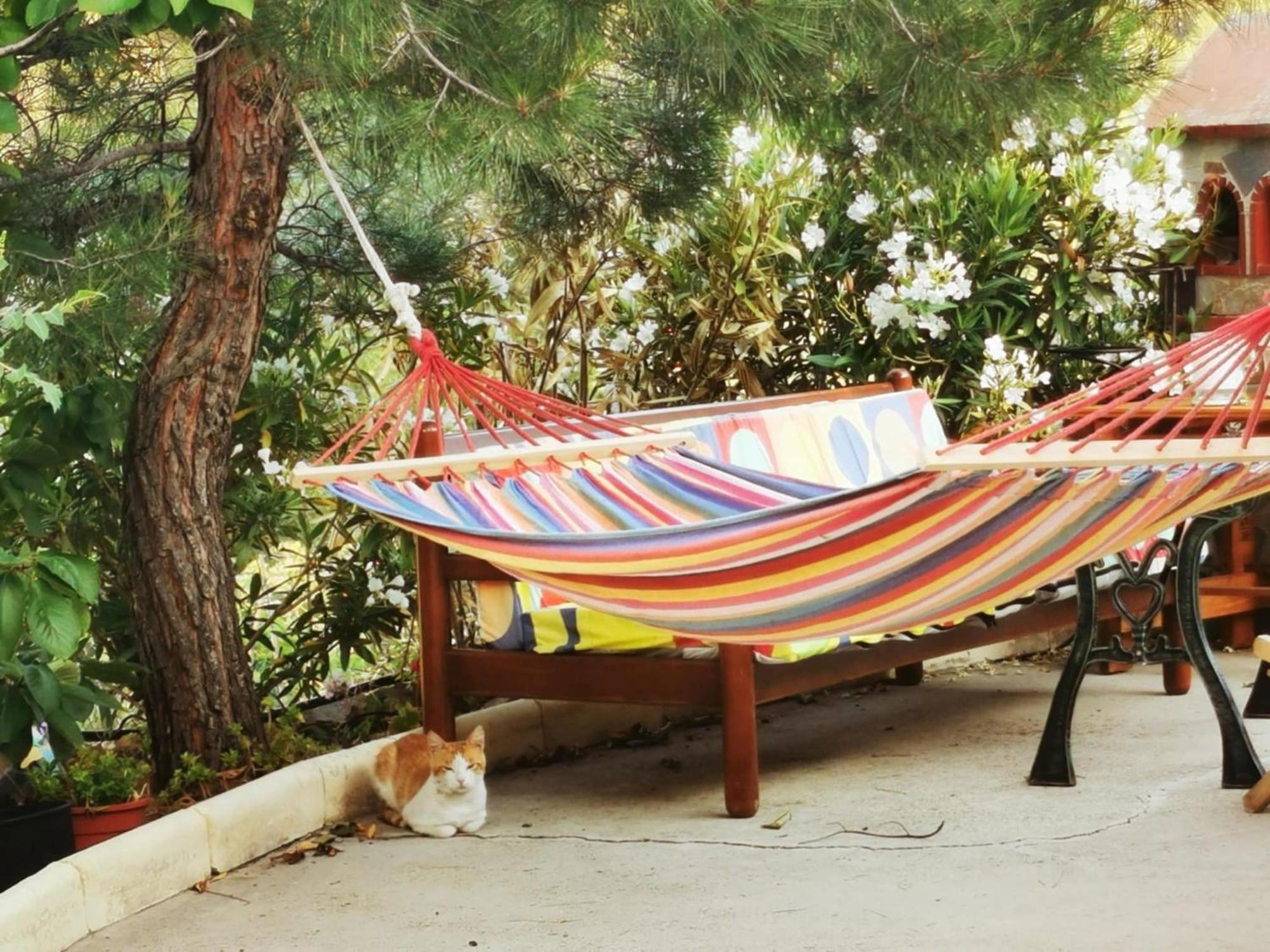 Holiday home The Mouflon House Pedoulas *