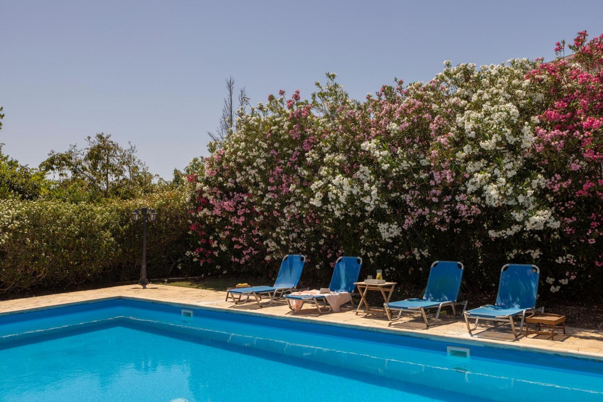 Tsikkos Pende Villa Argaka