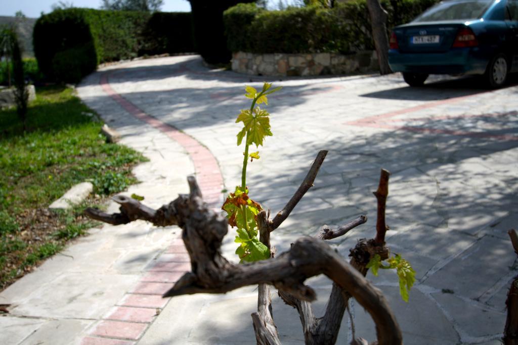 Alonia Villas Pousada Pissouri