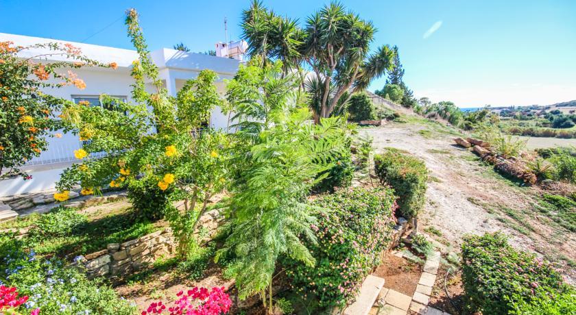Orchard View * Maroni