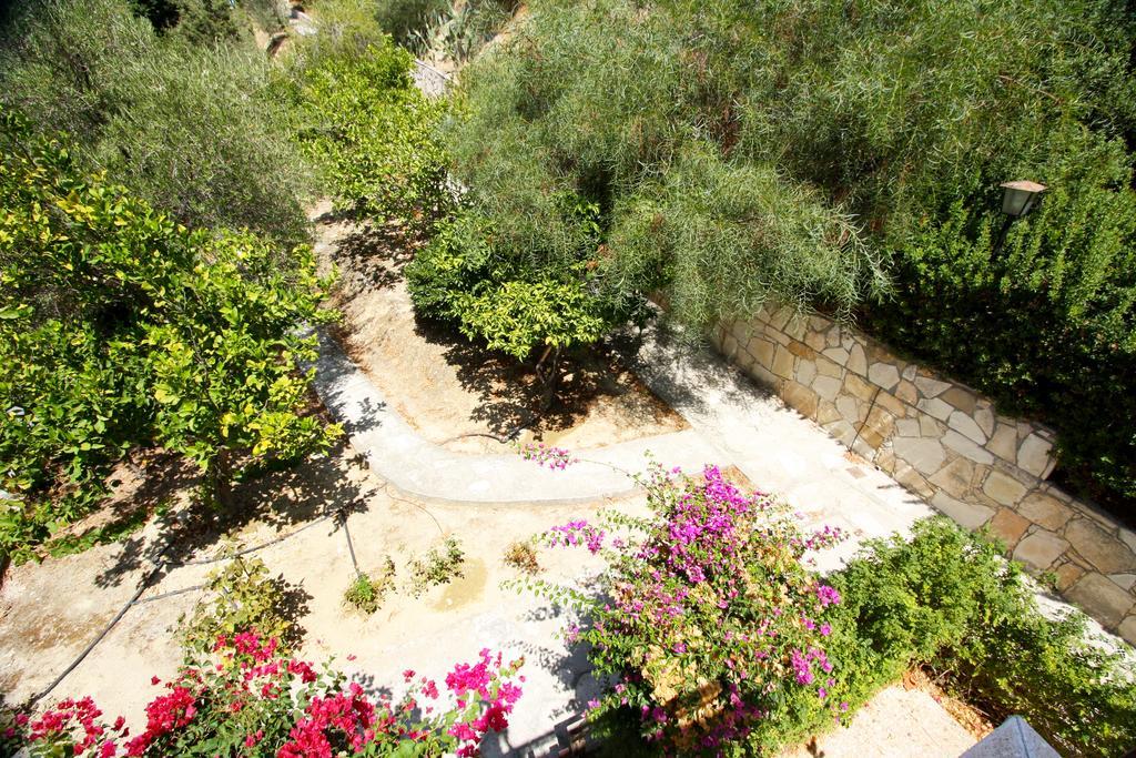 Apartamento The Nest Pissouri