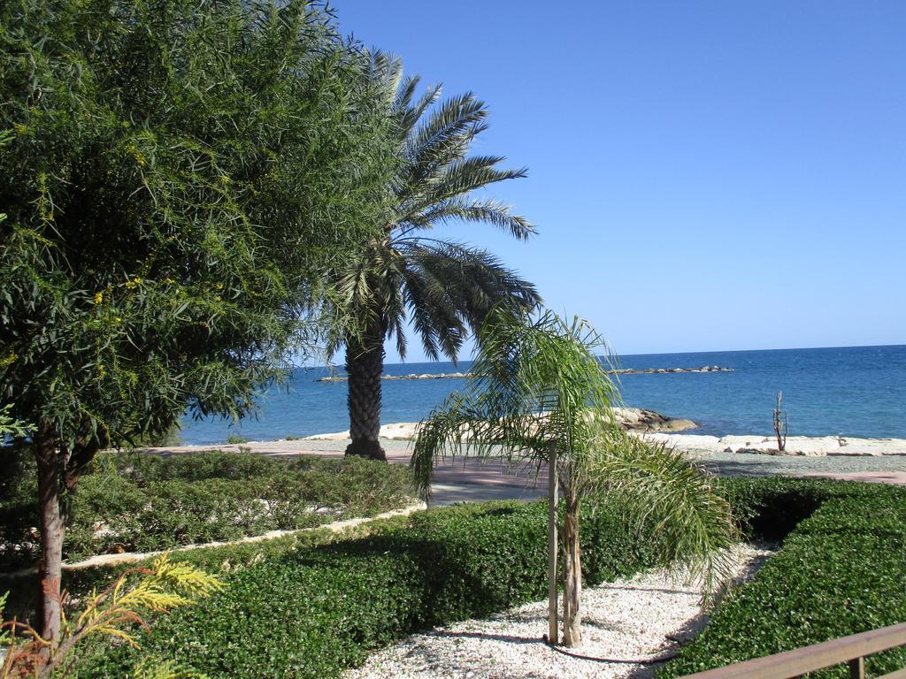 Galatex Beach Studio Limassol