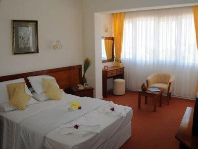Hotel Mountain View 3*