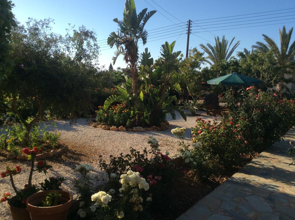 Maritsa's Roses Pomos