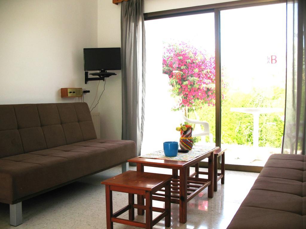 Bougainvillea Polis