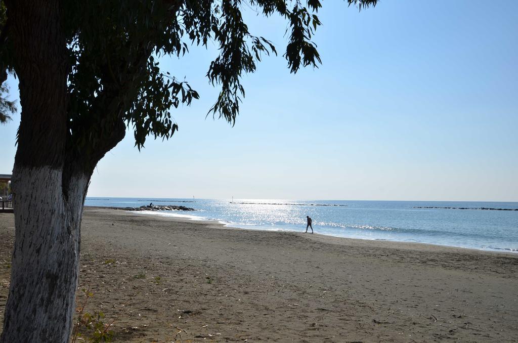 Pebble Limassol