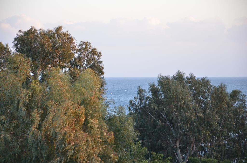 Apartment Pebble Limassol
