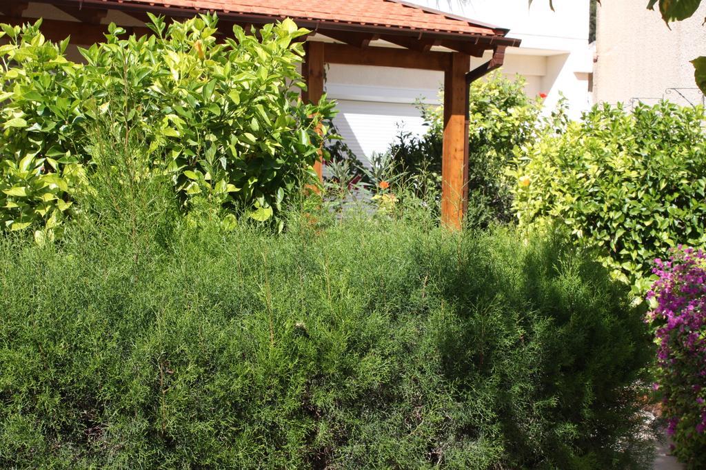 Apartment Kantara Sweet Limassol