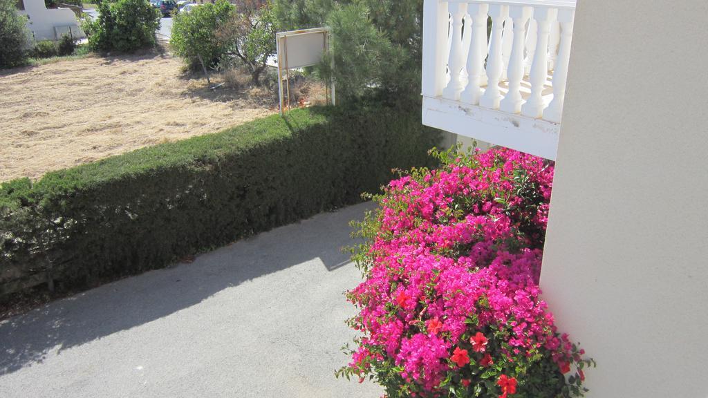 Constantia Gardens Paphos