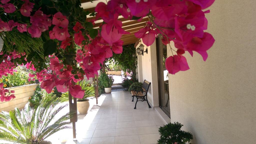 Apartment Droushia Holiday