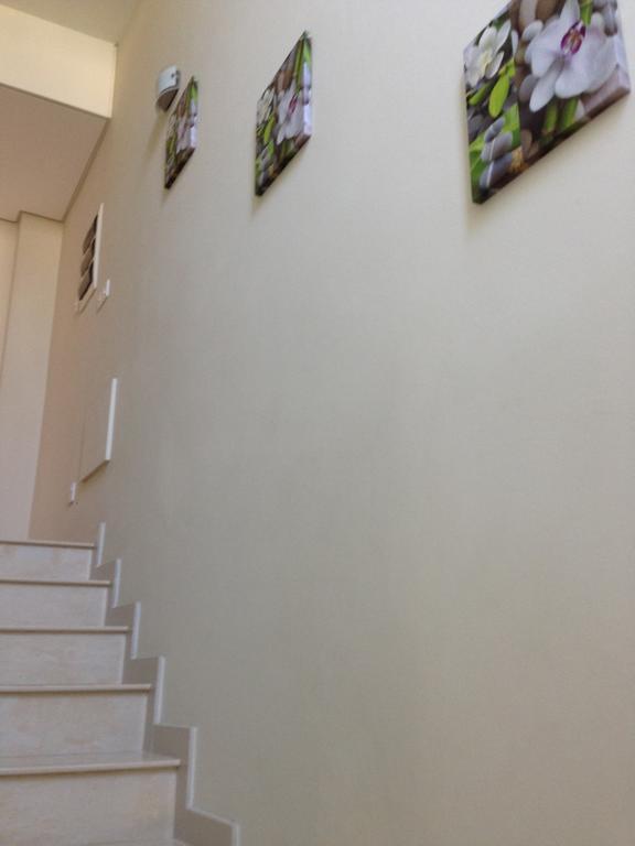 Lavanda Messonnet Limassol