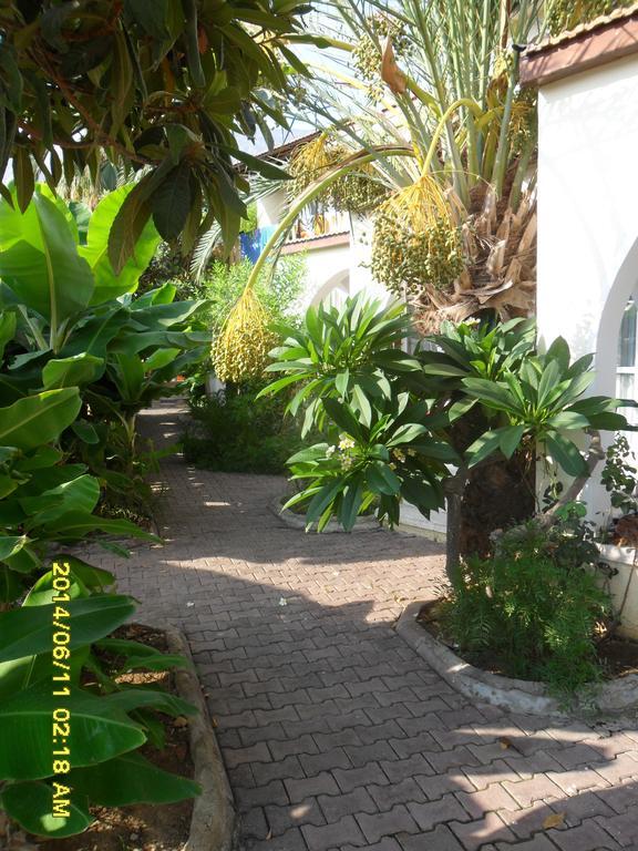 Club Alda 3*