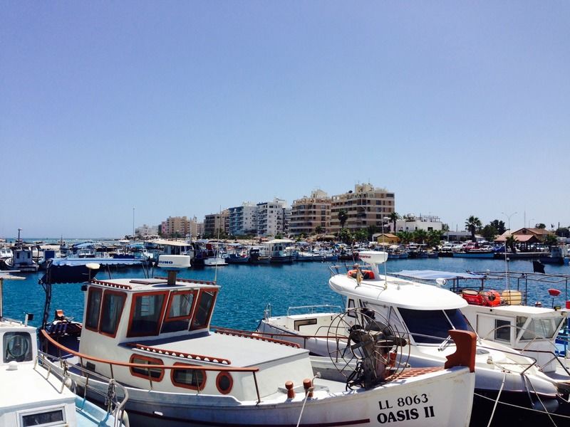 Sunflower Larnaca