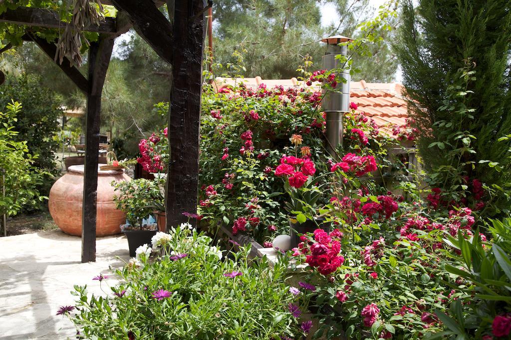 Walnut Grove Holiday home Vouni