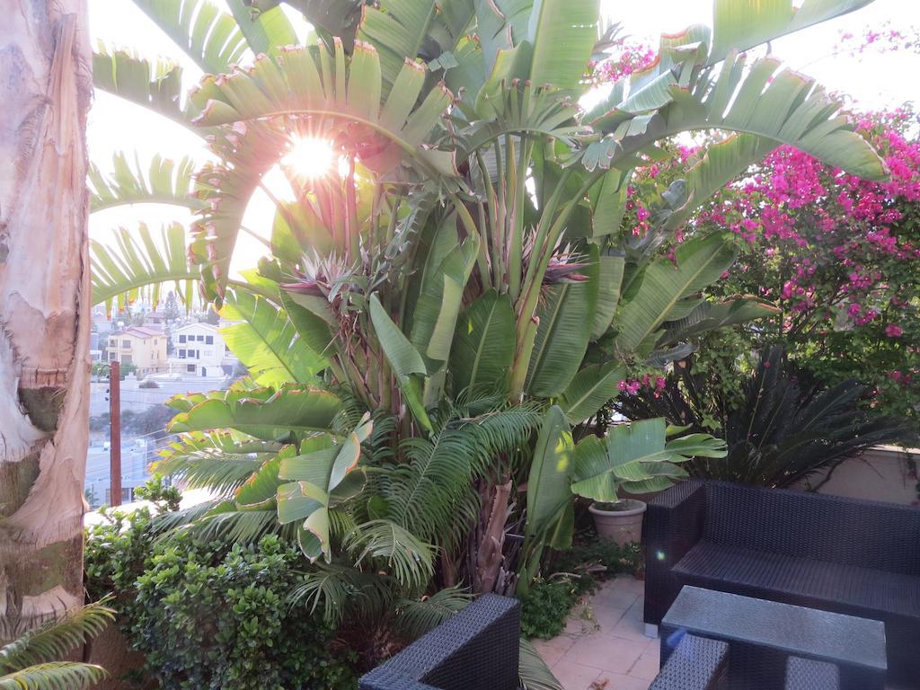 City Views - Only For Couples Limassol