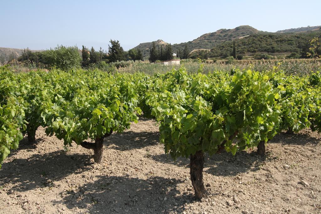 Pousada Alonia Villas Pissouri