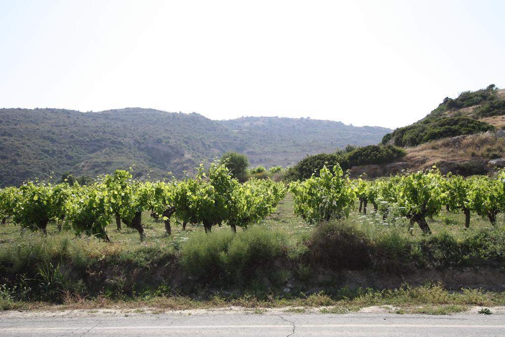 Alonia Villas Pissouri
