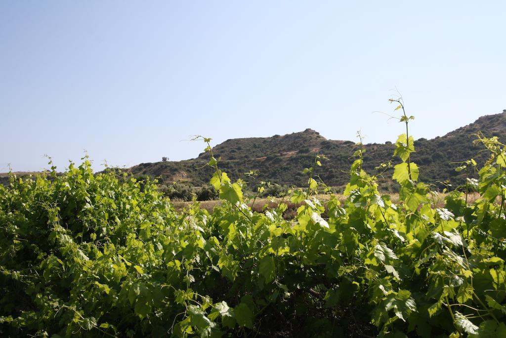 Pousada Alonia Villas