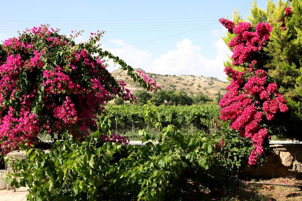 Alonia Villas
