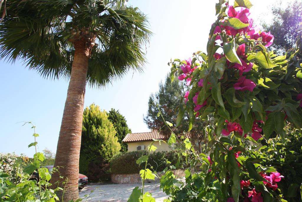 Pousada Alonia Villas Pissouri