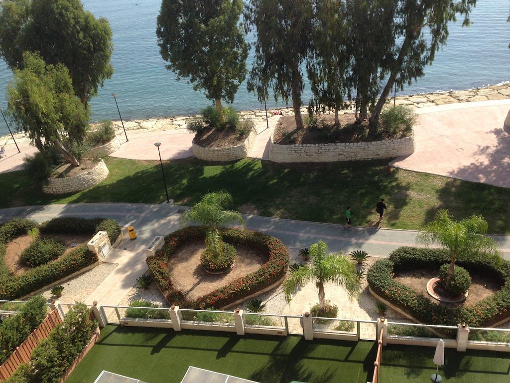 Darlex Galatex Center Limassol