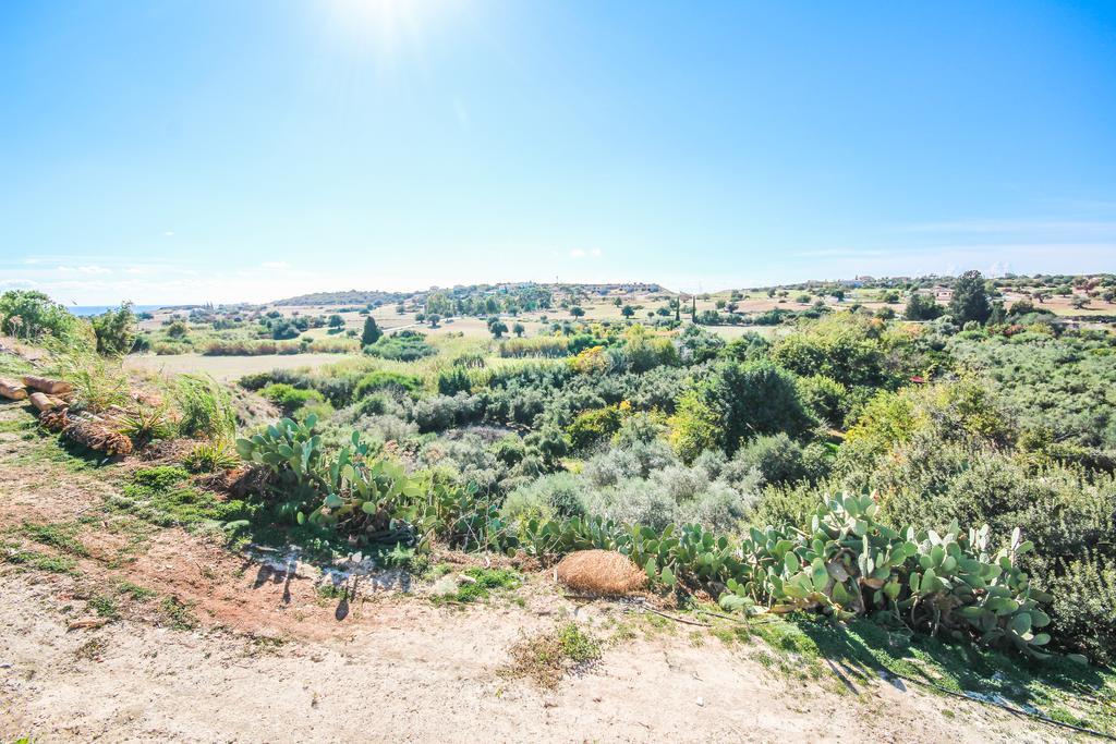 Holiday home Orchard View *