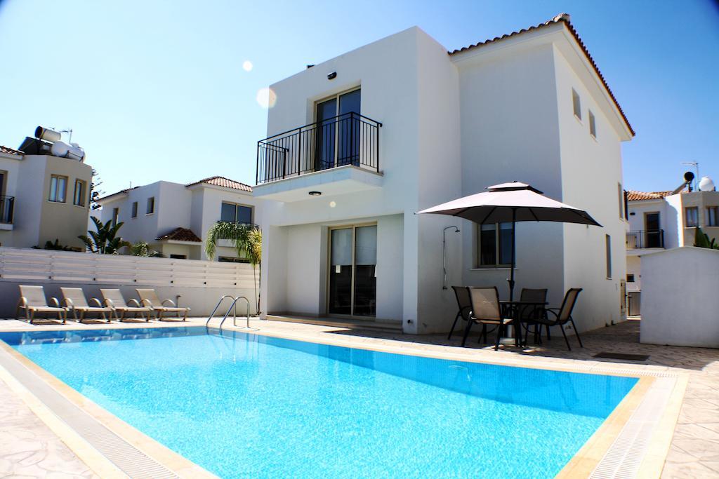 Villa Palm Tree