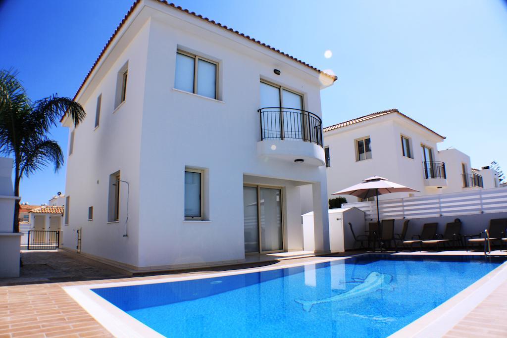Villa Palm Tree *