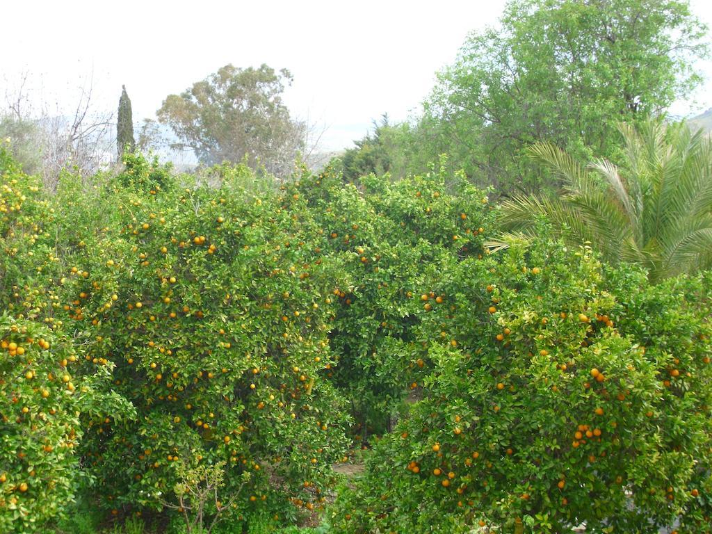 Pousada Valencia Grove Miliou
