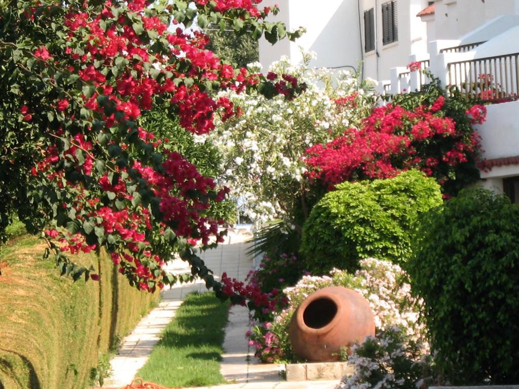 Bougainvillea Aparthotel