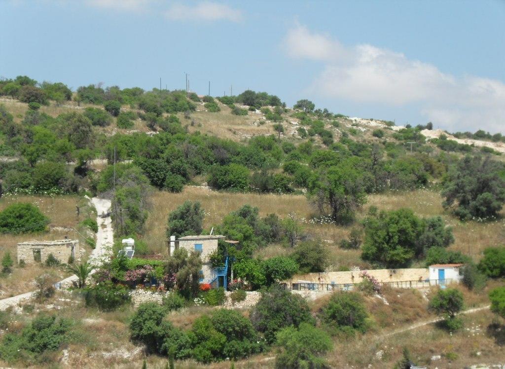 Arodaphne