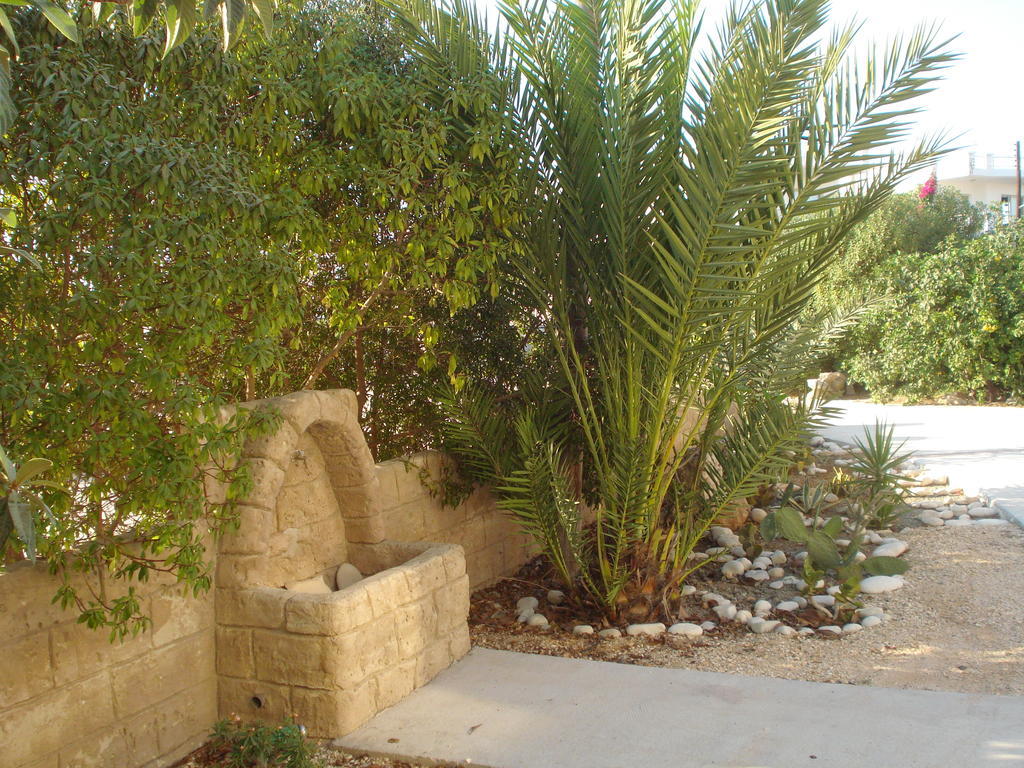 Apartment Arilena Paphos