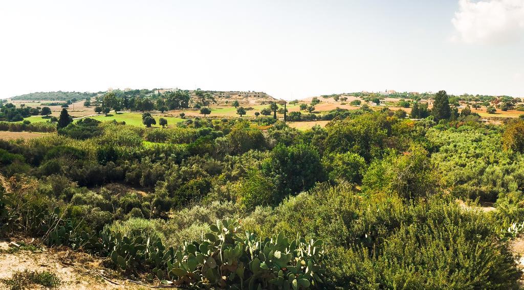 Holiday home Orchard View Maroni