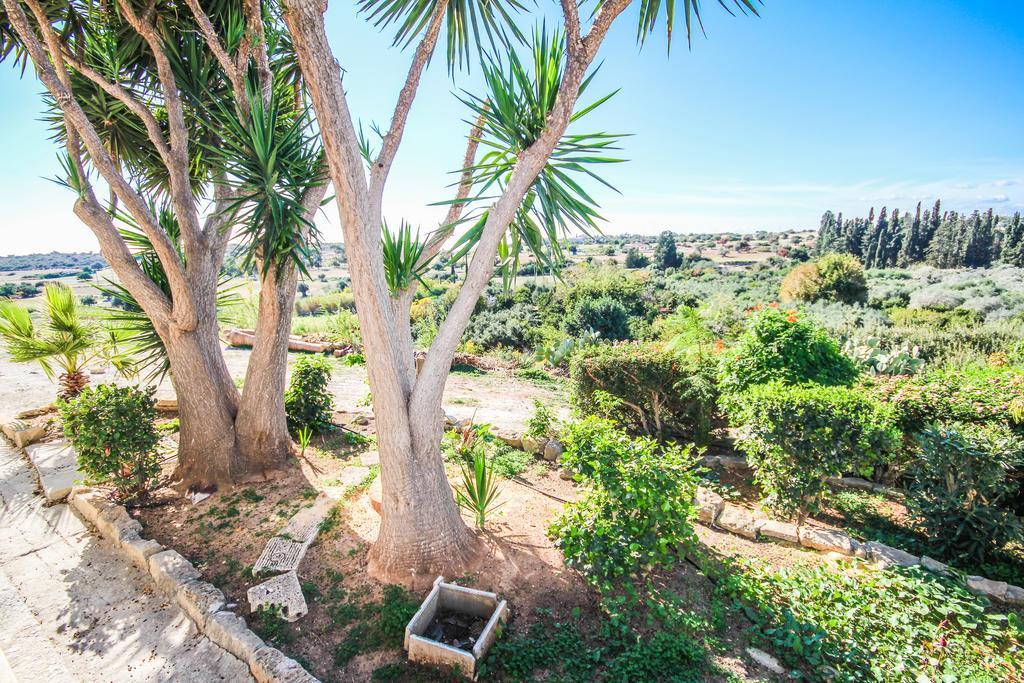 Orchard View