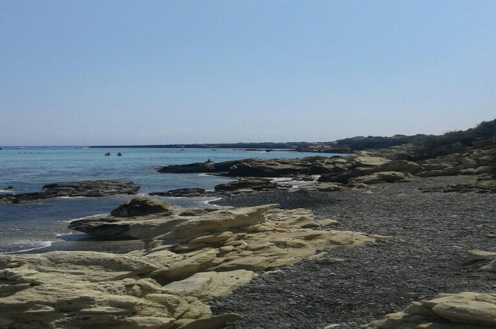 Amarakos λειτουργεί υπό νέα διεύθυνση Kato Akourdalia