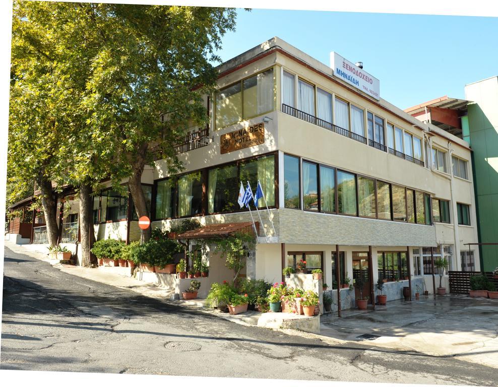 Hotel Minaides 2*