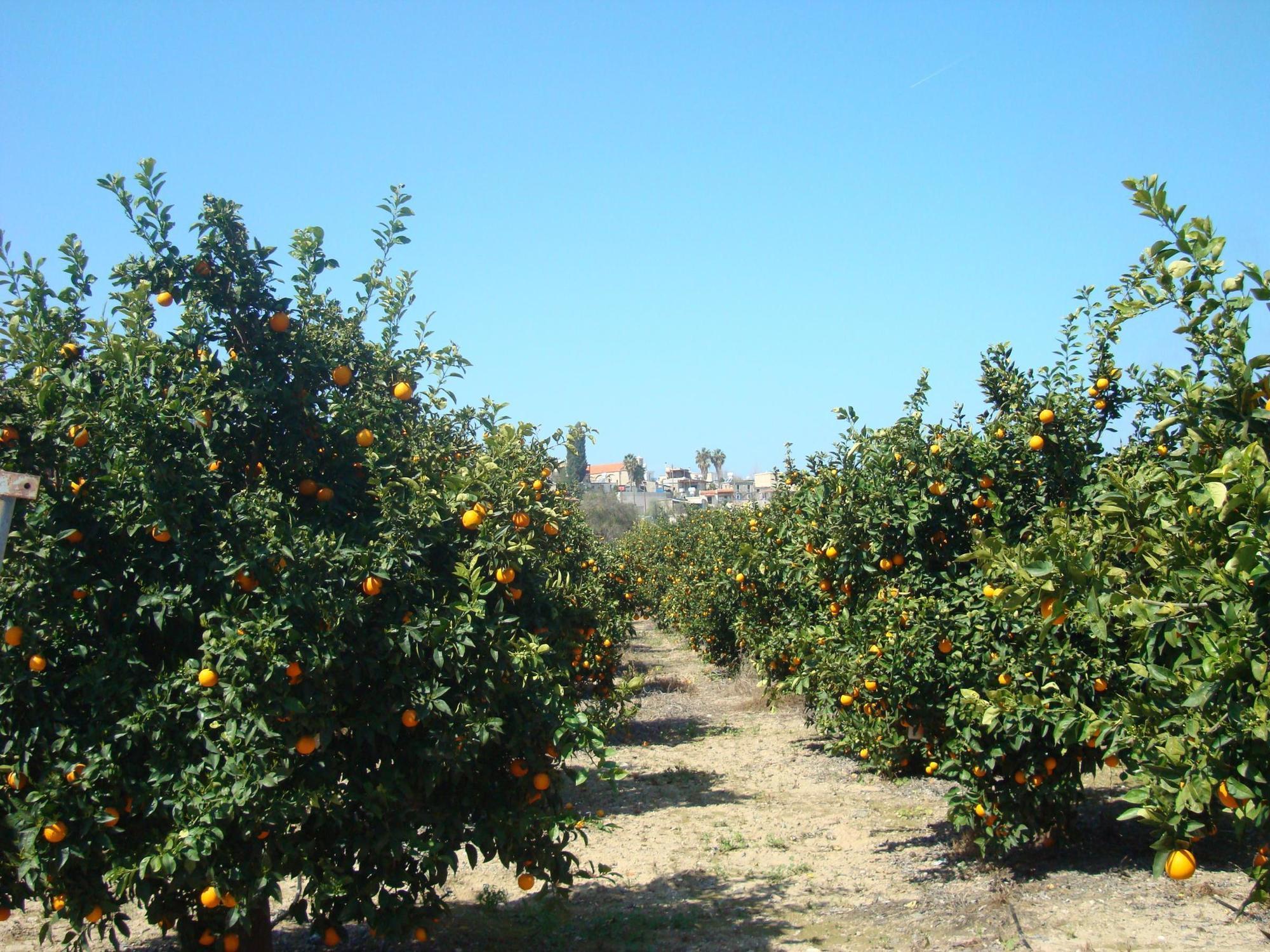 Country house Leonidas Village Goudhi