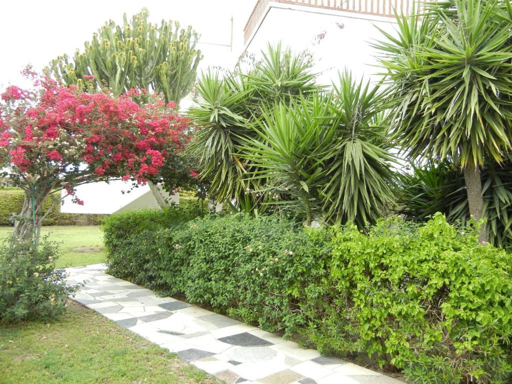 Tsialis Aparthotel 2*