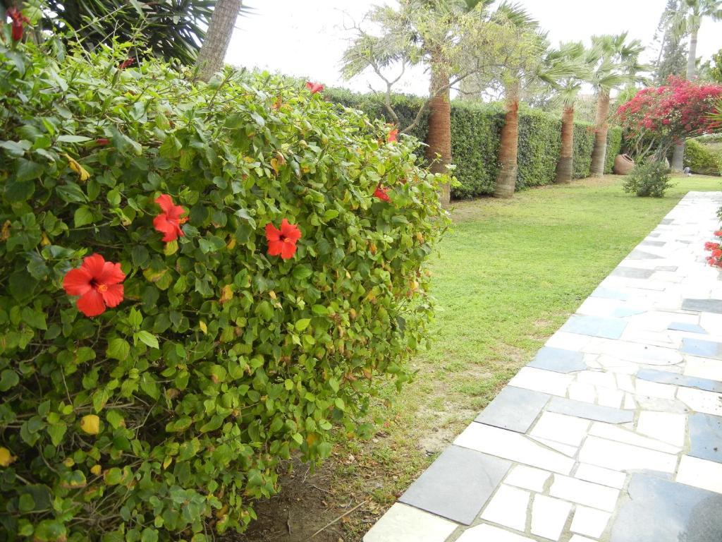 Tsialis 2* Larnaca