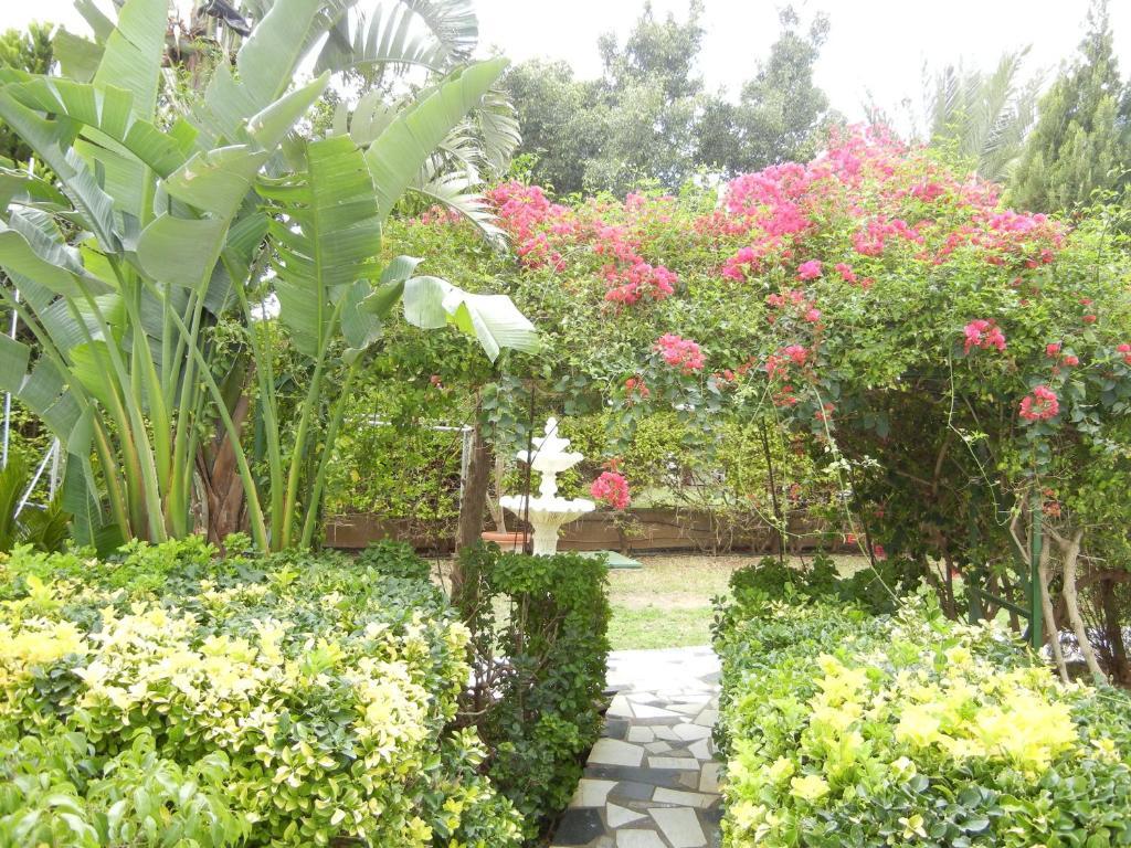 Tsialis 2* Larnaca