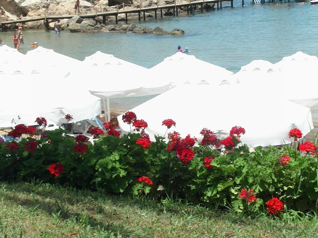 Denizkizi Hotel 4*
