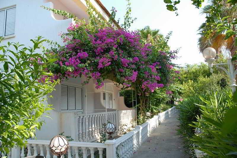 Riverside Garden 4* Karavas (Northern Cyprus)
