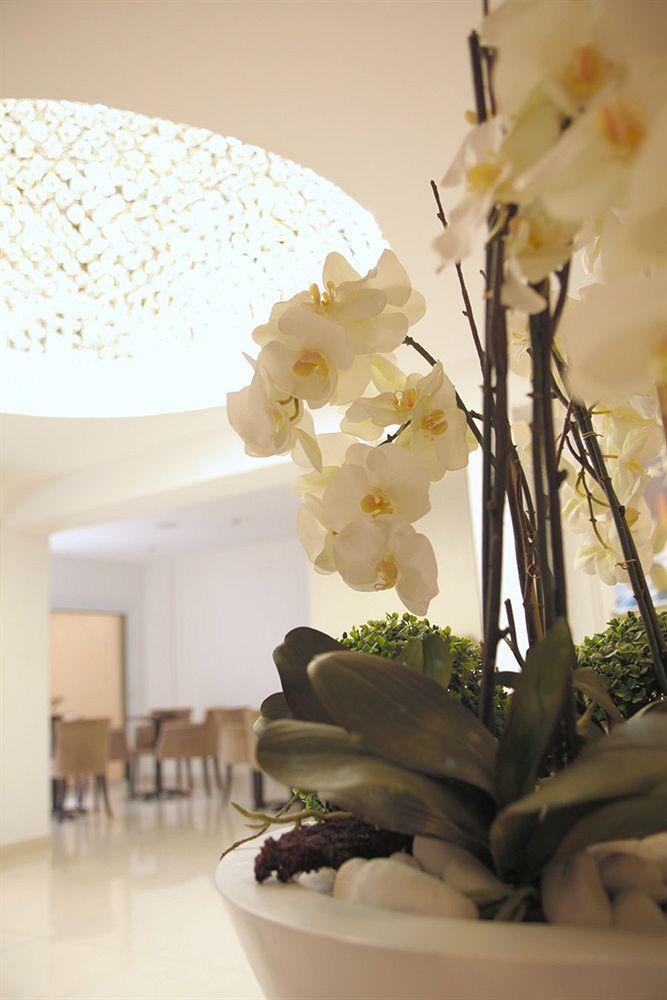 Achilleos Hotel