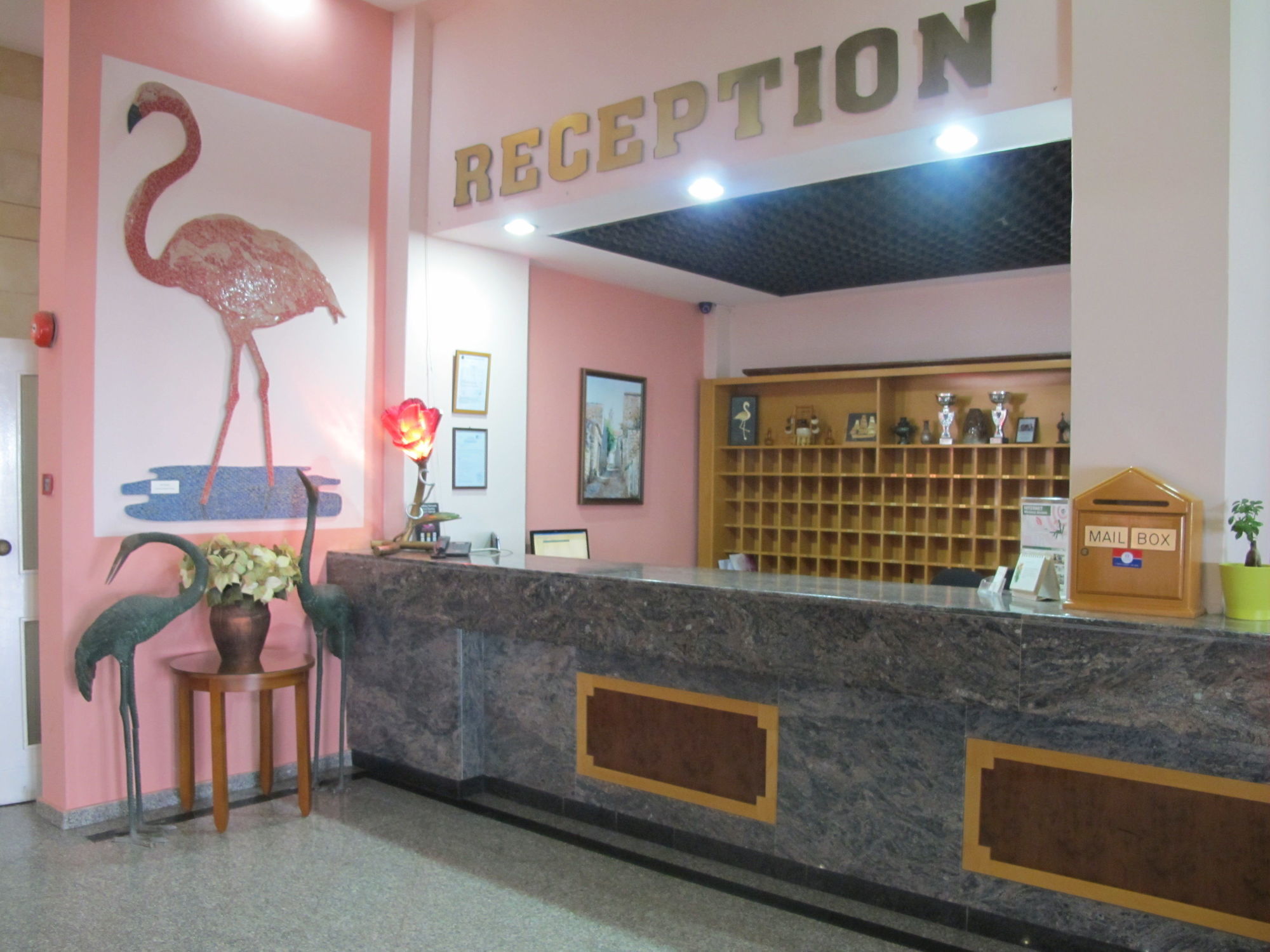Hotel Flamingo 3*