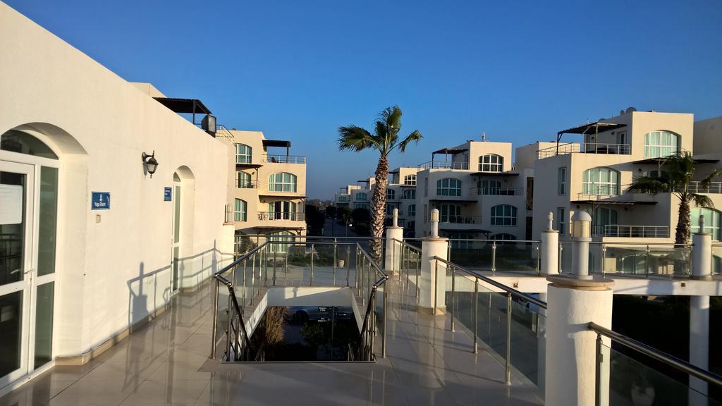 Apartment Aphrodite Beachfront Penthouse Ghaziveran
