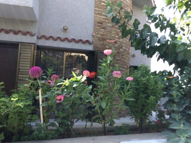 Nikola's House Holiday home Limassol