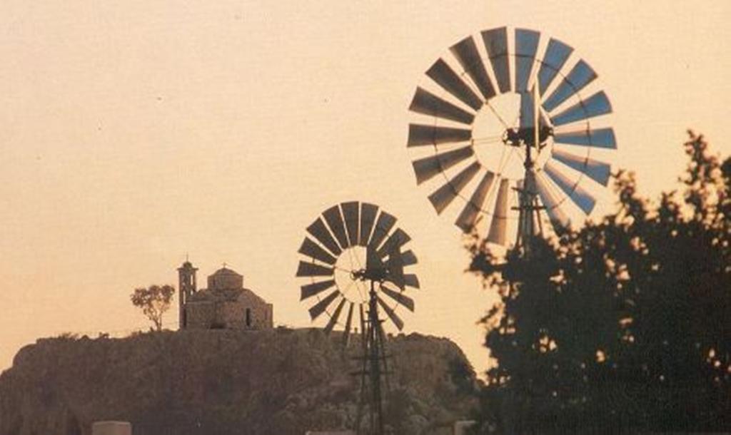 Chara Cynthiana * Paralimni